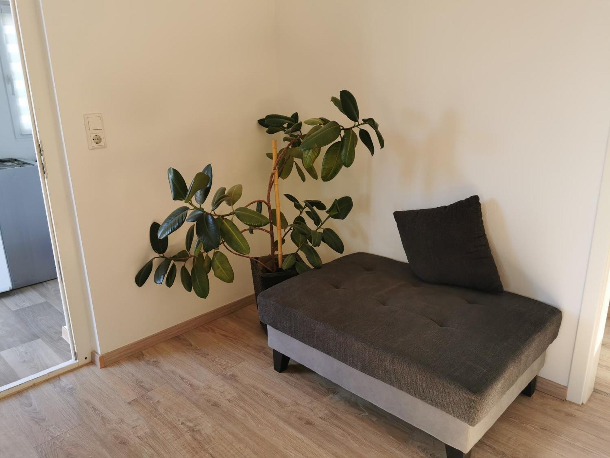 4-Zimmer-Wohnung Mit 6 Betten Bad Oeynhausen Εξωτερικό φωτογραφία